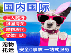 广元盘龙空运地址国际宠物托运 【国